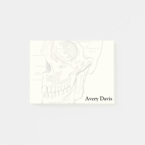 Vintage Anatomy Anterolateral region of the skull Post_it Notes