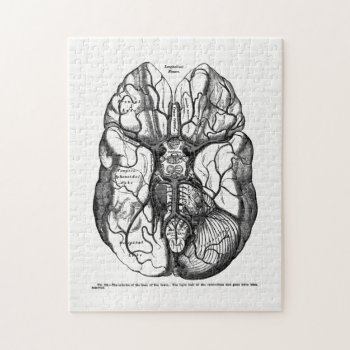 Vintage Anatomy Art Arteries Of The Human Brain Jigsaw Puzzle by vintage_anatomy at Zazzle