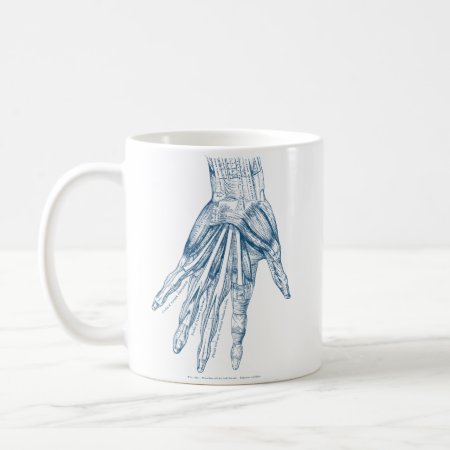 Vintage Anatomy Art Muscles Of The Hand Blue Coffee Mug