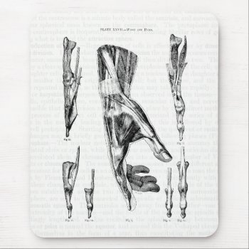 Vintage Anatomy Art Muscles Of The Wrist And Hand Mouse Pad by vintage_anatomy at Zazzle