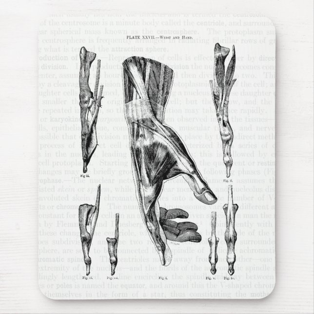 Vintage Anatomy Art Muscles of The Wrist and Hand Mouse Pad (Front)
