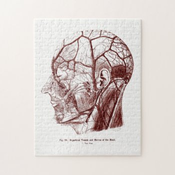 Vintage Anatomy Art Nerves Of The Human Head Jigsaw Puzzle by vintage_anatomy at Zazzle