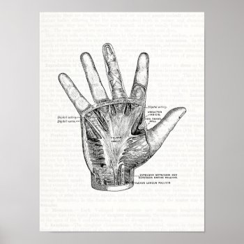 Vintage Anatomy Art The Palm Of The Hand Poster by vintage_anatomy at Zazzle