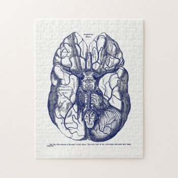 Vintage Anatomy Arteries Of The Human Brain Navy Jigsaw Puzzle by vintage_anatomy at Zazzle