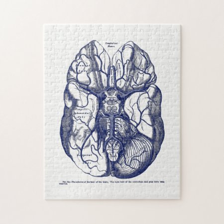 Vintage Anatomy Arteries Of The Human Brain Navy Jigsaw Puzzle