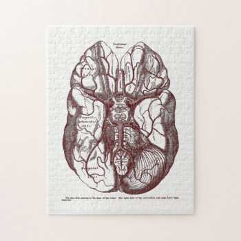 Vintage Anatomy Arteries Of The Human Brain Red Jigsaw Puzzle by vintage_anatomy at Zazzle