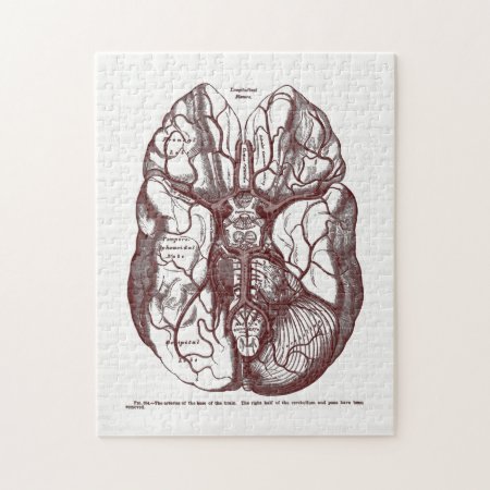 Vintage Anatomy Arteries Of The Human Brain Red Jigsaw Puzzle