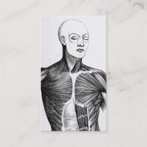 Vintage Anatomy  BW Torso  circa 1852 Business Card