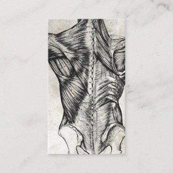 Vintage Anatomy Back Business Cards by NeatBusinessCards at Zazzle