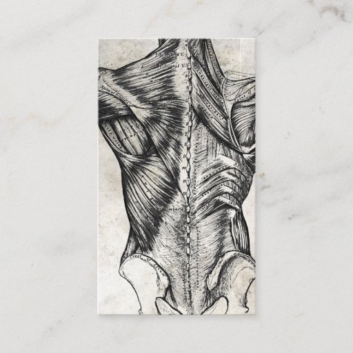 Customizable Vintage Back Anatomy Business Cards