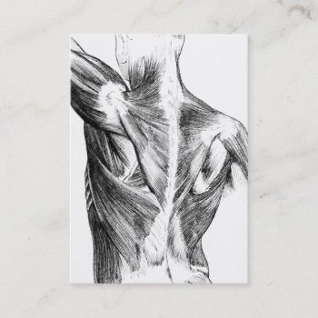 Vintage Anatomy | Back Muscles  (circa 1852) | B/w Business Card by vintage_anatomy at Zazzle