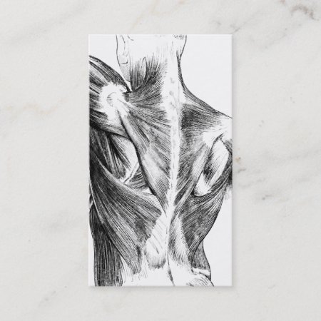 Vintage Anatomy | Back Muscles  (circa 1852) | B/w Business Card