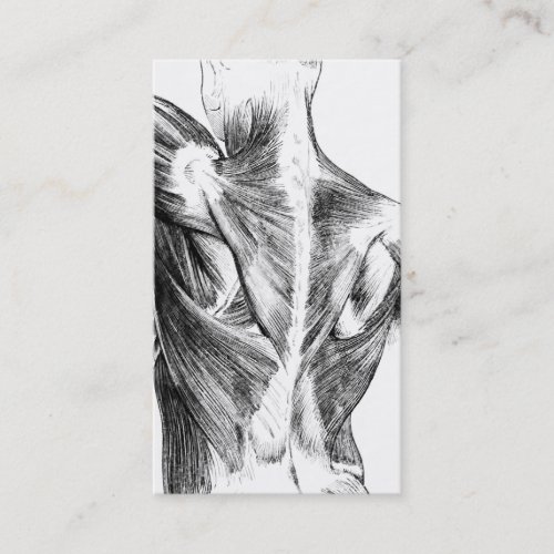 Vintage Anatomy  Back Muscles  circa 1852  BW Business Card