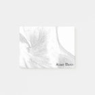 Vintage Anatomy | Back Muscles  (circa 1852) | B/W