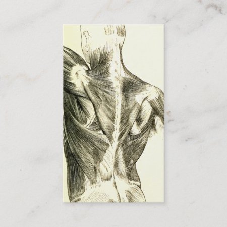 Vintage Anatomy | Back Muscles (circa 1852) Business Card