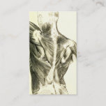 Vintage Anatomy | Back Muscles (circa 1852) Business Card at Zazzle