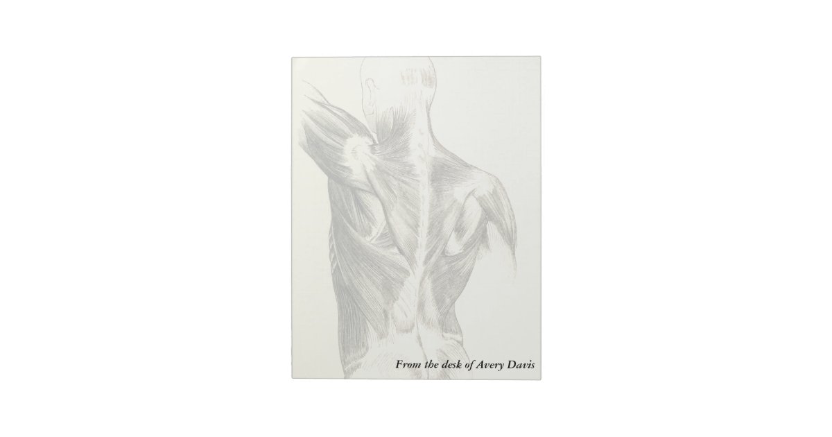 Vintage Anatomy | Back Muscles (circa 1852) Notepad | Zazzle