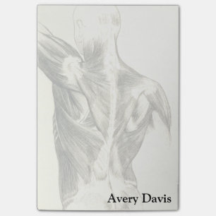 Vintage Anatomy Back Muscles (circa 1852) Post-it Notes