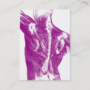 Vintage Anatomy   Back Muscles   Purple Business Card
