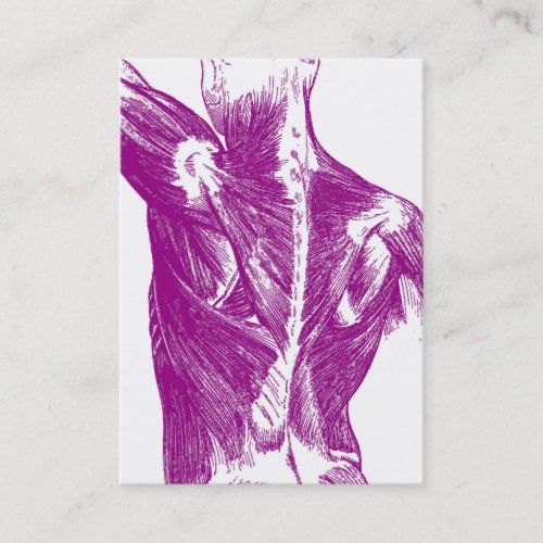 Vintage Anatomy  Back Muscles  Purple Business Card