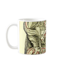 Vintage Anatomy Base of the skull external