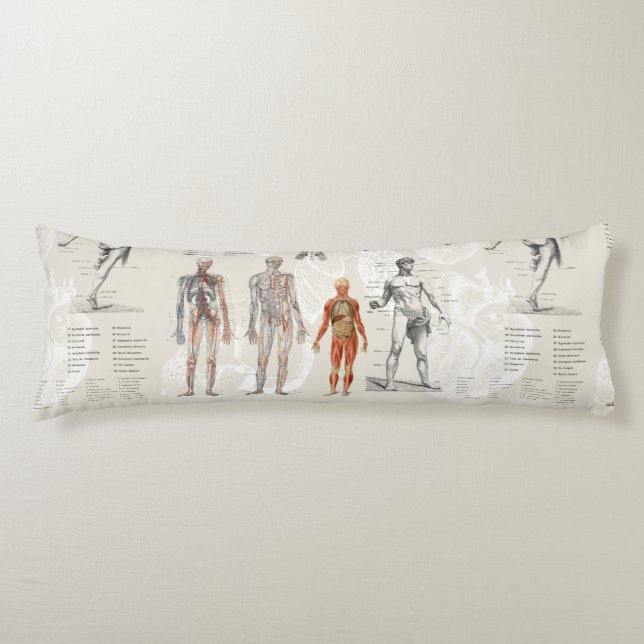 Vintage Anatomy Biology Illustrations Body Pillow (Front)