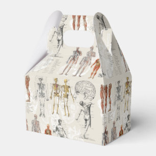 Vintage Anatomy Biology Illustrations Favor Boxes