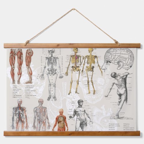 Vintage Anatomy Biology Illustrations Hanging Tapestry