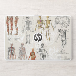 Vintage Anatomy Biology Illustrations HP Laptop Skin