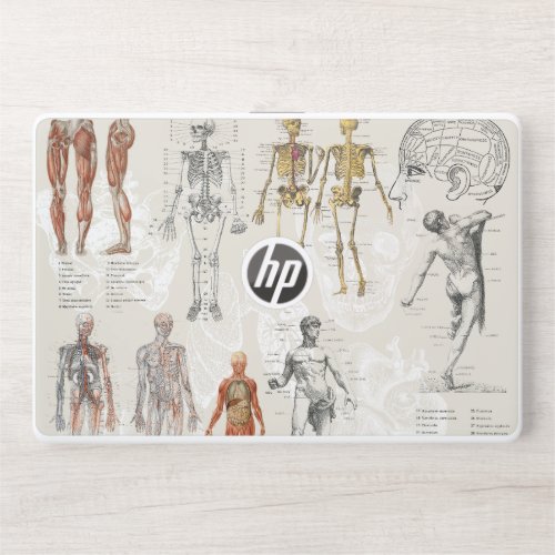 Vintage Anatomy Biology Illustrations HP Laptop Skin