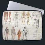 Vintage Anatomy Biology Illustrations Laptop Sleeve<br><div class="desc">A beautiful collage of vintage anatomy and biology illustrations. Perfect design for medical students,  doctors,  nurses,  surgeons,  pharmacist,  therapists etc.</div>