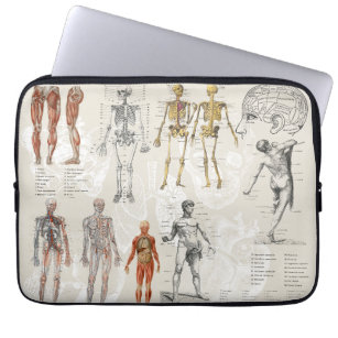 Vintage Anatomy Biology Illustrations Laptop Sleeve