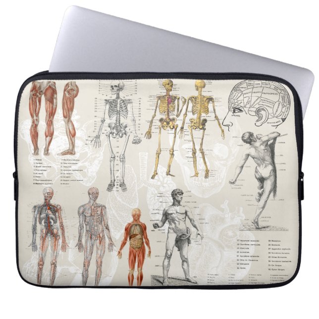 Vintage Anatomy Biology Illustrations Laptop Sleeve (Front)