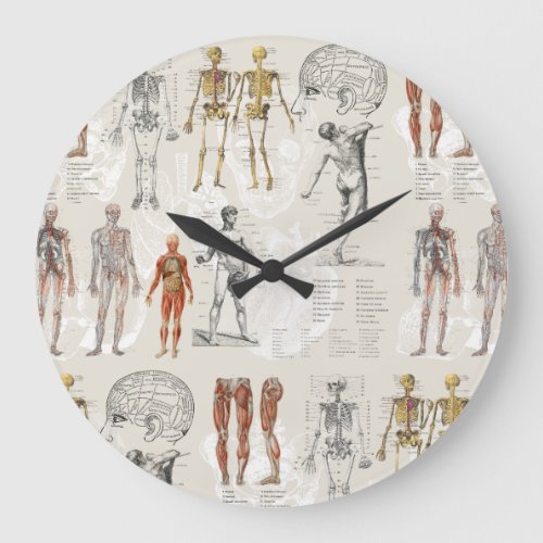 Vintage Anatomy Biology Illustrations Large Clock