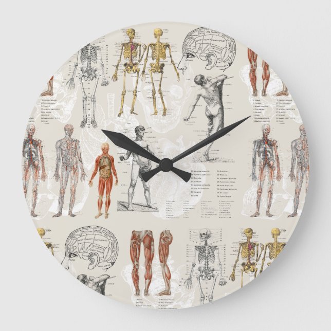 Vintage Anatomy Biology Illustrations Large Clock (Front)