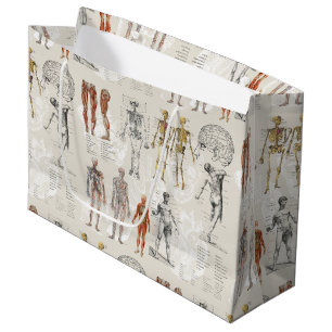 Vintage Anatomy Biology Illustrations Large Gift Bag