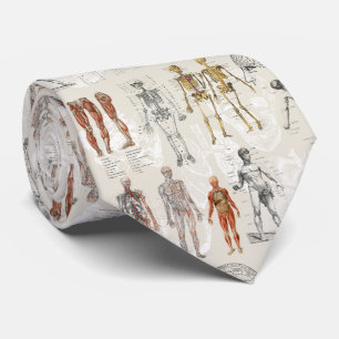 Vintage Anatomy Biology Illustrations Neck Tie