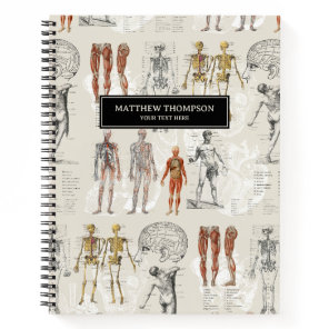 Vintage Anatomy Biology Illustrations Notebook