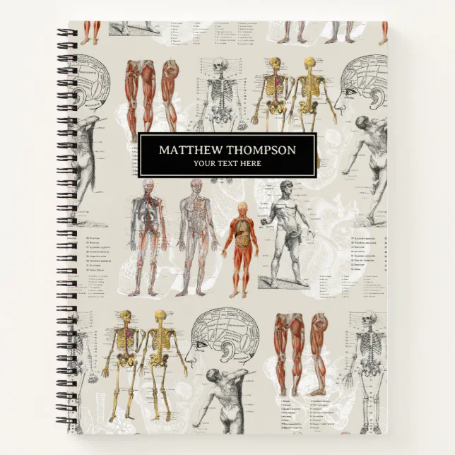 Vintage Anatomy Biology Illustrations Notebook (Front)