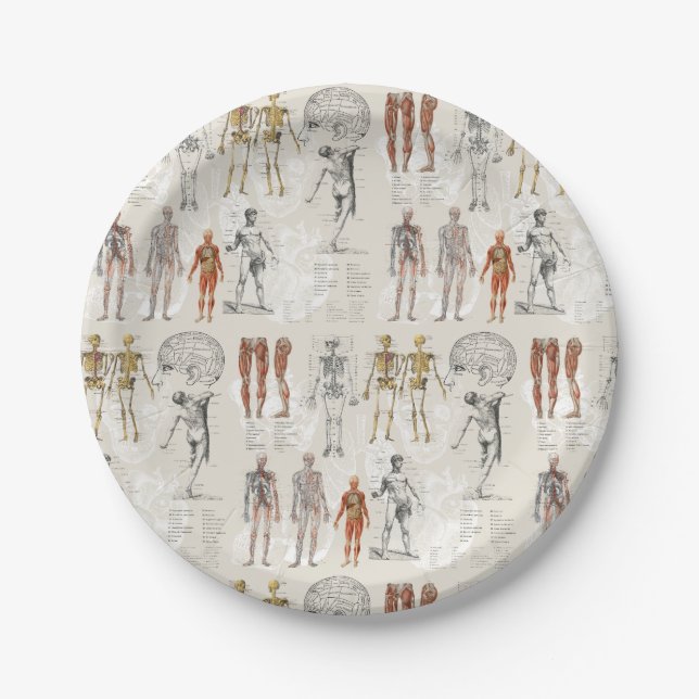 Vintage Anatomy Biology Illustrations Paper Plates (Front)