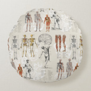 Vintage Anatomy Biology Illustrations Round Pillow