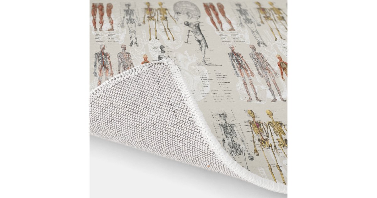 Biology Rug Design Vintage Anatomy Biology Illustrations Rug | Zazzle