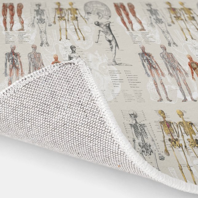Vintage Anatomy Biology Illustrations Rug (Indoor)