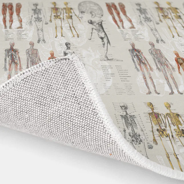 Biology Rug Design Vintage Anatomy Biology Illustrations Rug | Zazzle