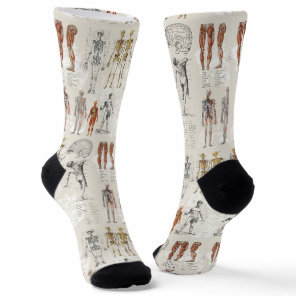 Vintage Anatomy Biology Illustrations Socks