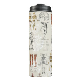 Vintage Anatomy Biology Illustrations Thermal Tumbler