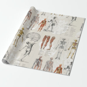 Vintage Anatomy Biology Illustrations Wrapping Paper