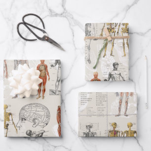 Vintage Anatomy Biology Illustrations Wrapping Paper Sheets
