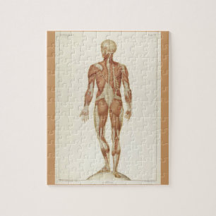 Vintage Anatomy Book Pages Jigsaw Puzzle
