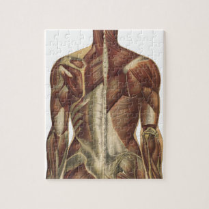 Vintage Anatomy Book Pages Jigsaw Puzzle
